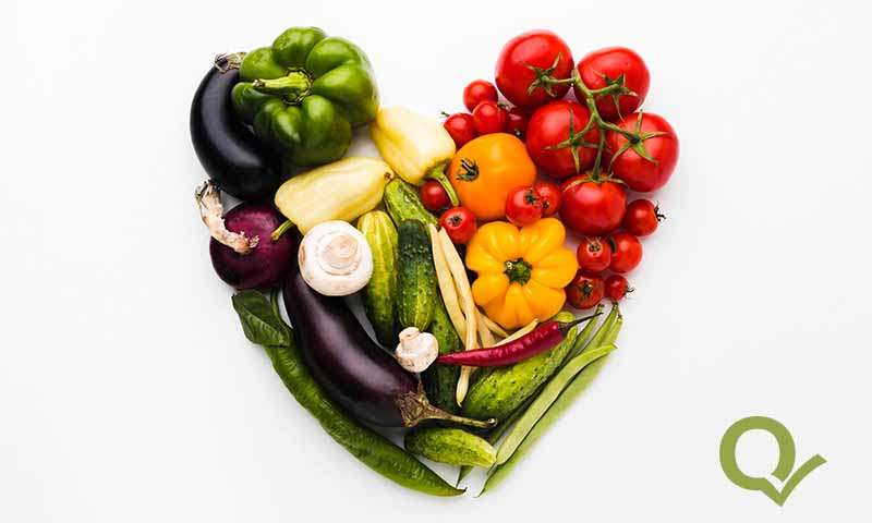 nutricion patologias qualife